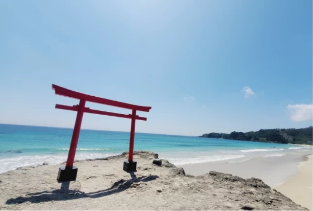 伊古奈比咩命神社（白浜神社）